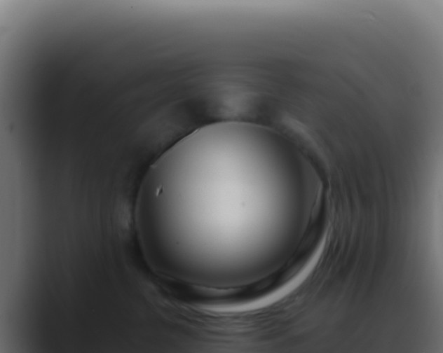 X0000089760380200706281648