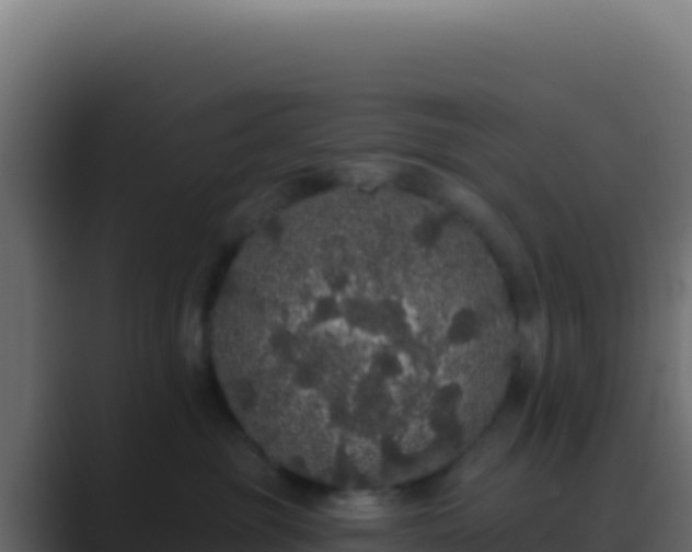 X0000089760381200706281648