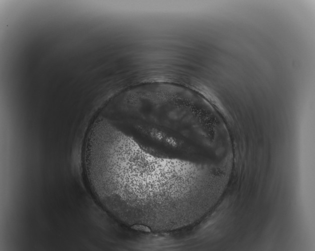 X0000089760386200706281648