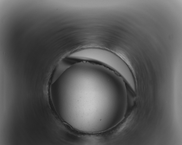 X0000089760389200706281647