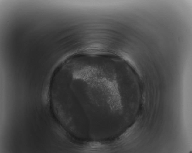 X0000089760392200706281647