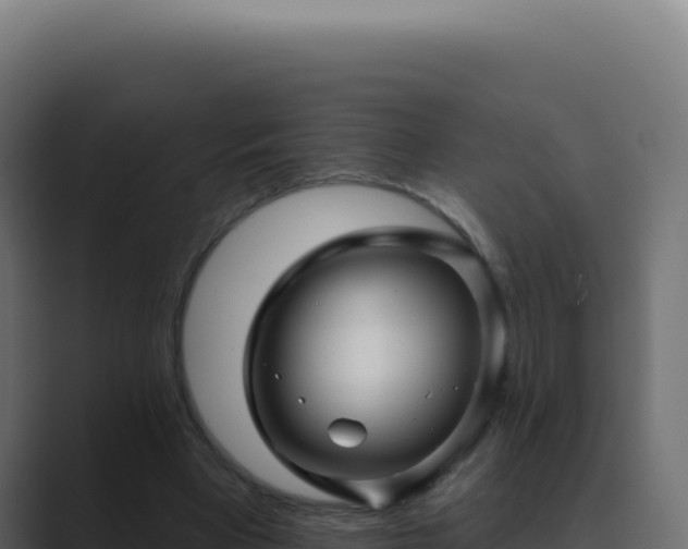 X0000089760393200706281647