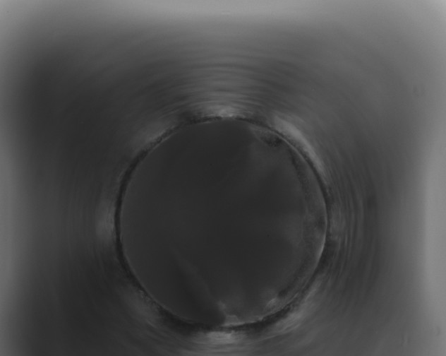 X0000089760394200706281647