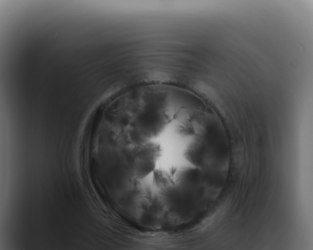X0000089760395200706281647