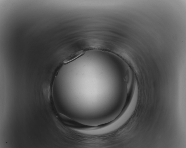 X0000089760397200706281647