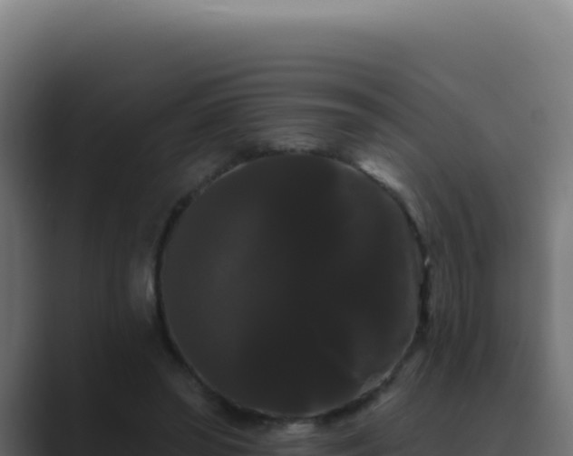 X0000089760398200706281647