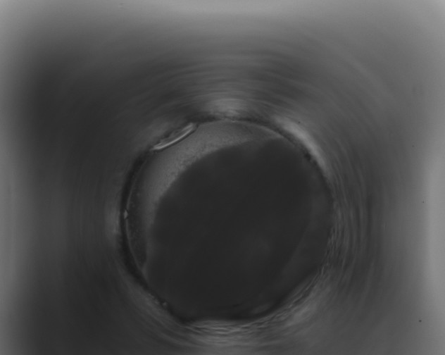 X0000089760399200706281647