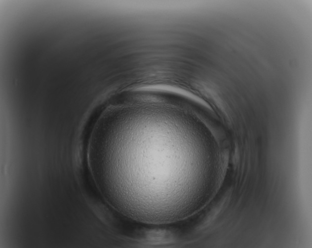 X0000089760400200706281647