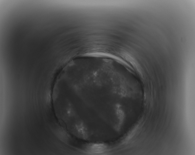 X0000089760401200706281647