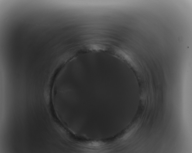 X0000089760402200706281647