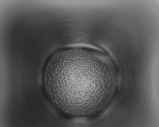 X0000089760403200706281647