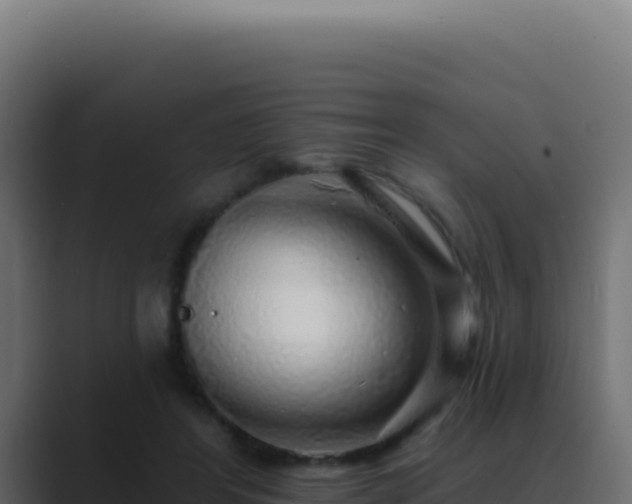 X0000089760404200706281647