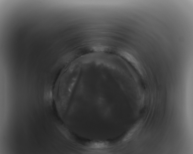 X0000089760405200706281647