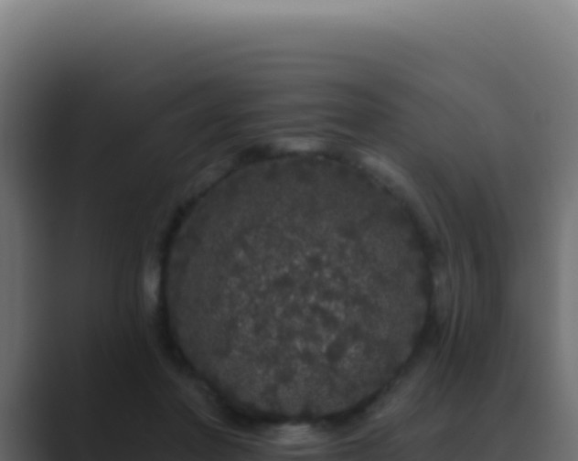 X0000089760406200706281647