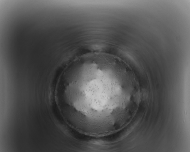 X0000089760408200706281647