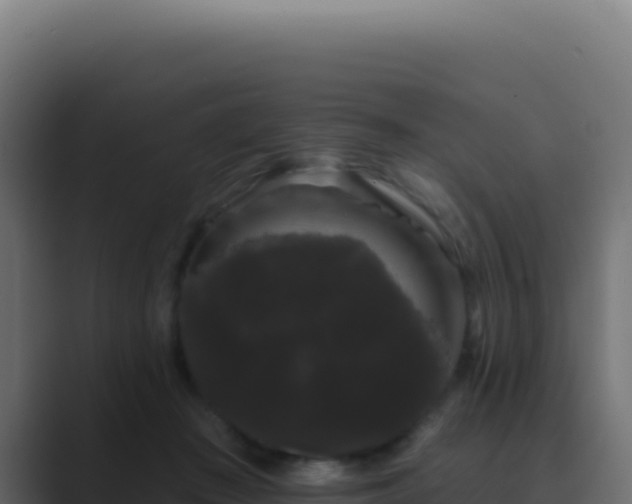 X0000089760409200706281647