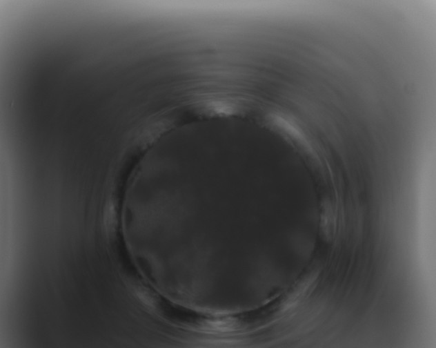 X0000089760410200706281647