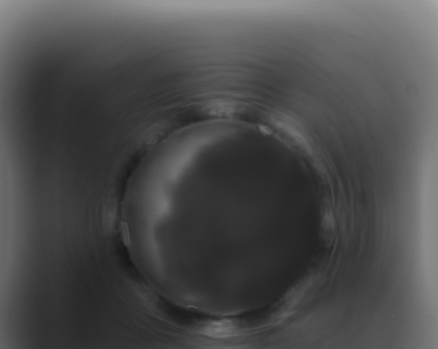 X0000089760411200706281647