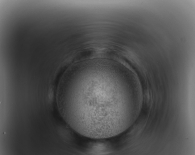 X0000089760412200706281647