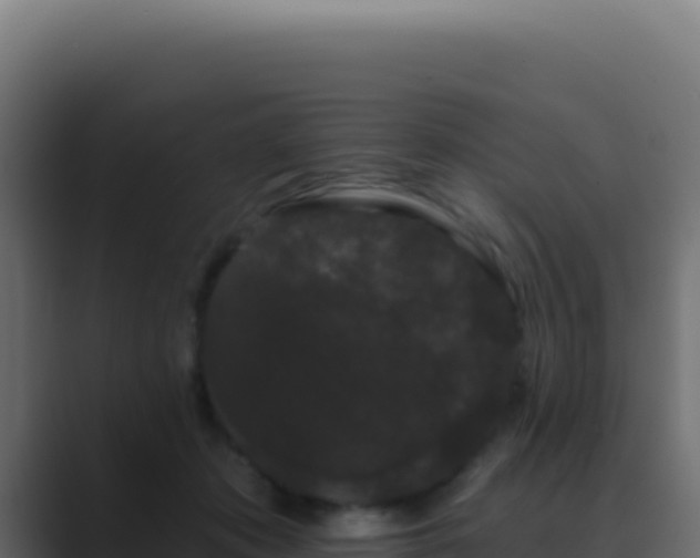 X0000089760413200706281647