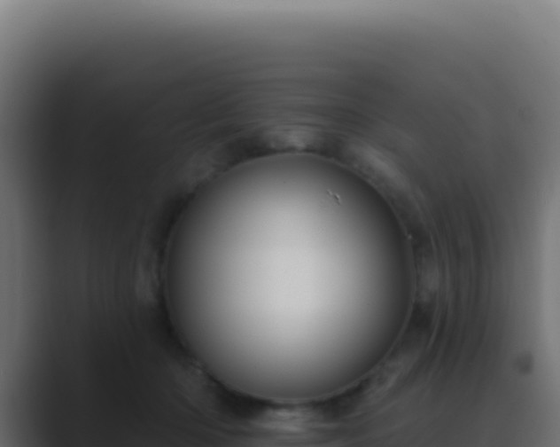 X0000089760414200706281647