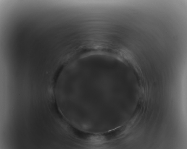 X0000089760415200706281647