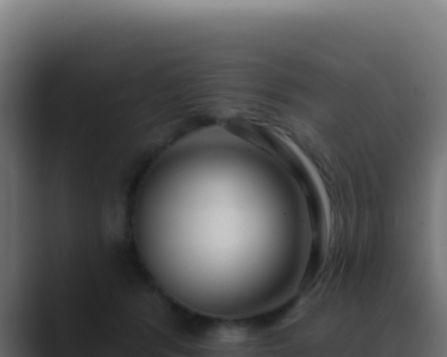 X0000089760416200706281647