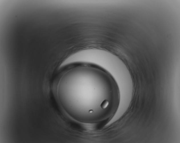 X0000089760417200706281647