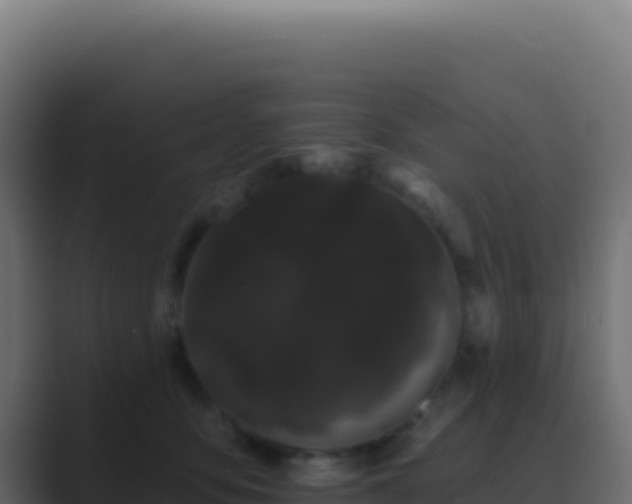 X0000089760419200706281647