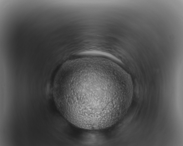 X0000089760420200706281647