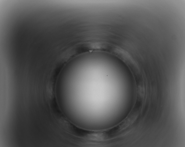 X0000089760422200706281647