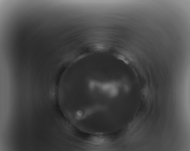 X0000089760423200706281647