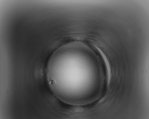 X0000089760424200706281647