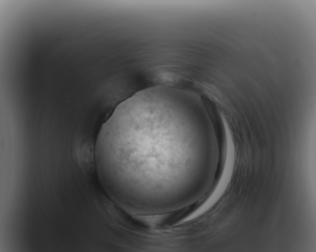 X0000089760425200706281647