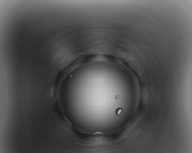 X0000089760428200706281647