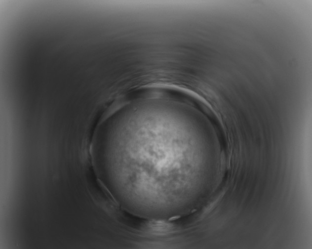 X0000089760429200706281647