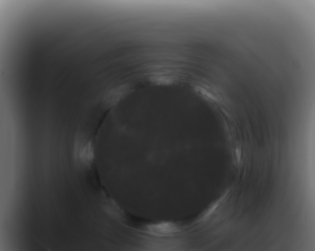 X0000089760431200706281647