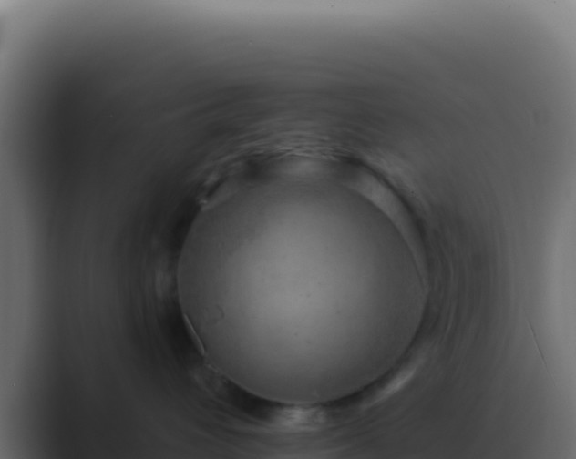 X0000089760432200706281647