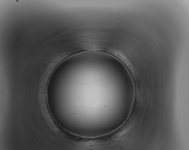 X0000089760433200706281646