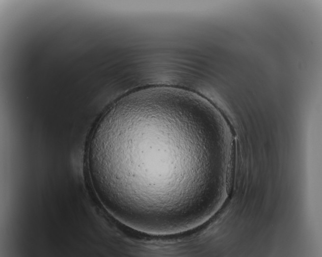 X0000089760434200706281646