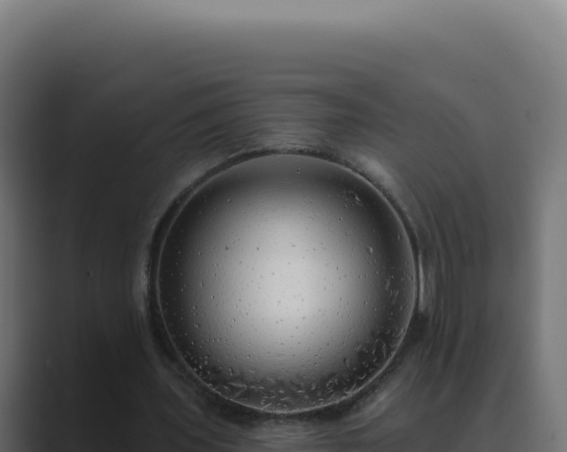 X0000089760435200706281646