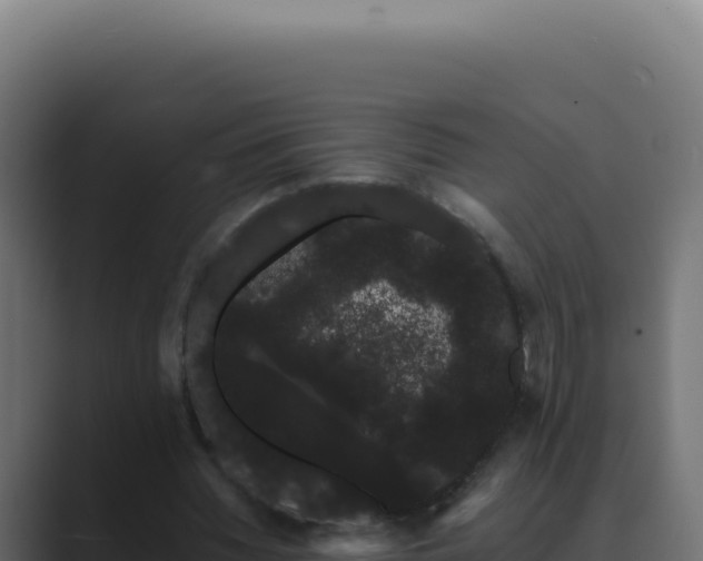 X0000089760436200706281646