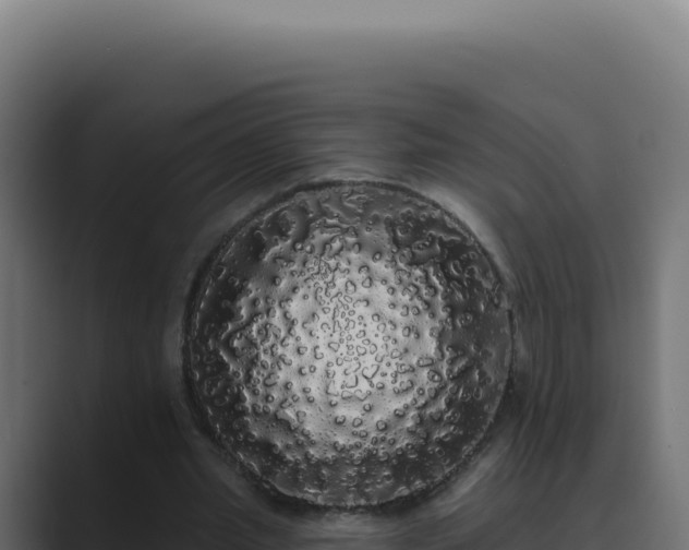 X0000089760437200706281646