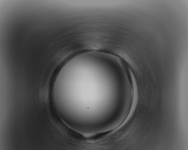 X0000089760440200706281647