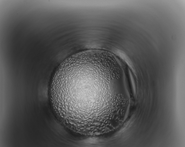 X0000089760441200706281647