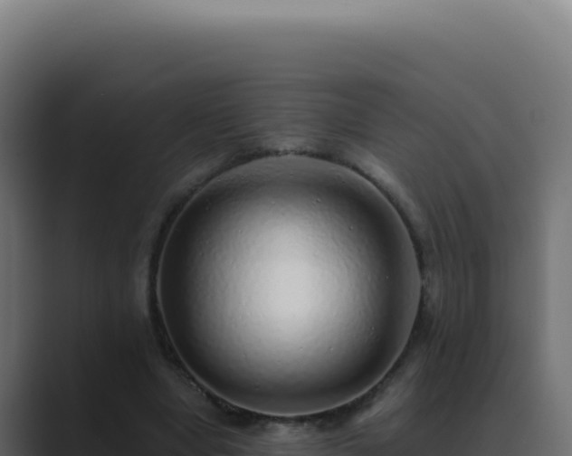 X0000089760442200706281647