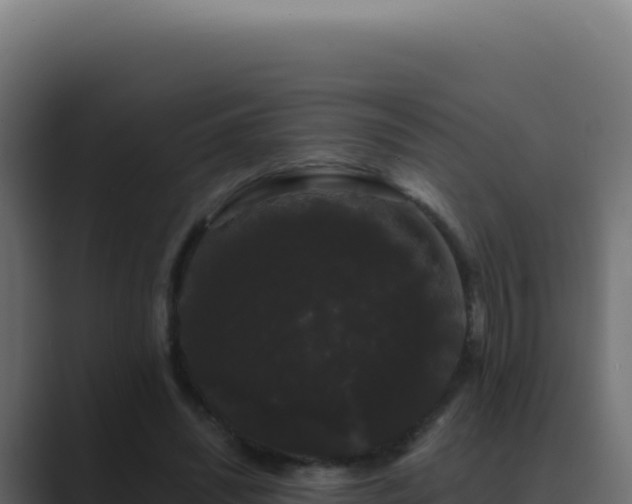 X0000089760444200706281647