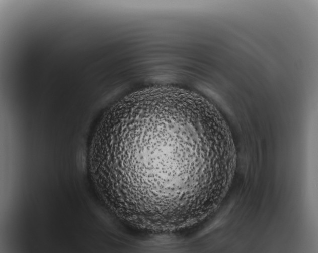 X0000089760446200706281647