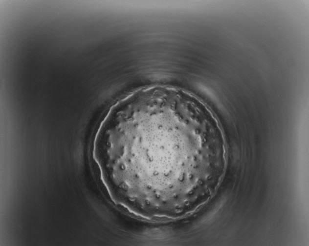 X0000089760447200706281647