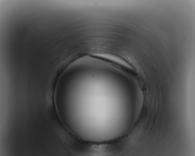 X0000089760450200706281647